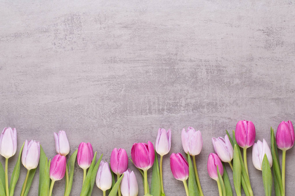 Spring greeting card, pink color tulips on the gray background. - Zdjęcie, obraz