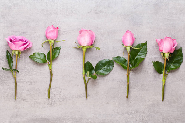 Flowers valentine day composition. Frame made of pink rose on gr - Foto, imagen