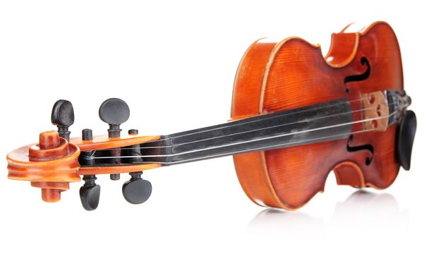 Classical violin isolated on white - Foto, Bild
