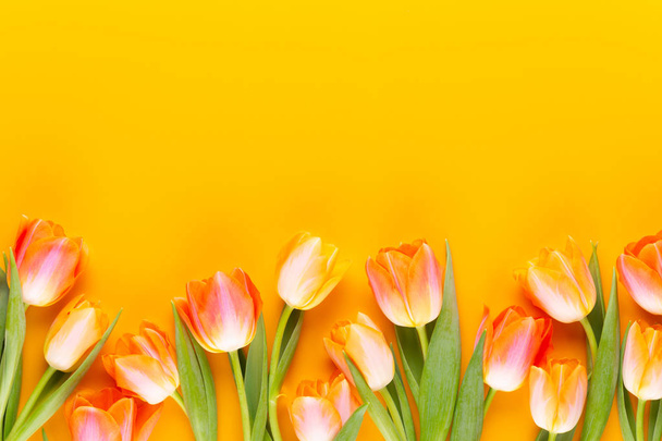 Yellow pastels color tulips on yellow background. - Фото, зображення