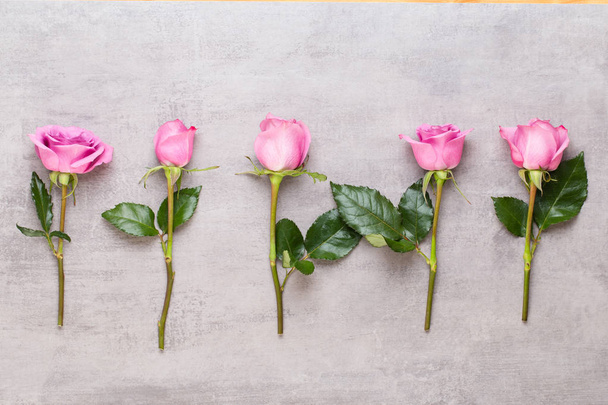 Flowers valentine day composition. Frame made of pink rose on gr - Fotografie, Obrázek