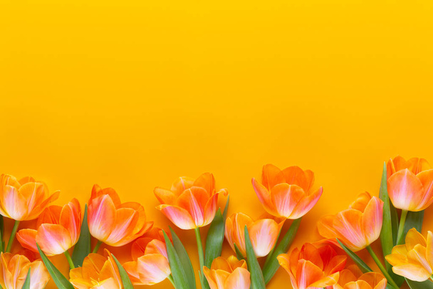 Yellow pastels color tulips on the yellow background. Retro vint - Φωτογραφία, εικόνα
