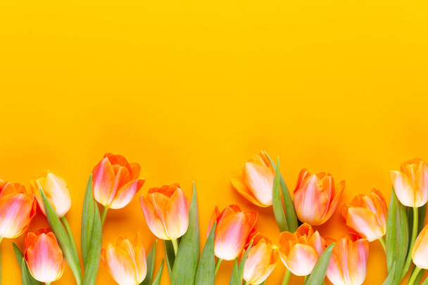 Yellow pastels color tulips on yellow background. - Foto, afbeelding