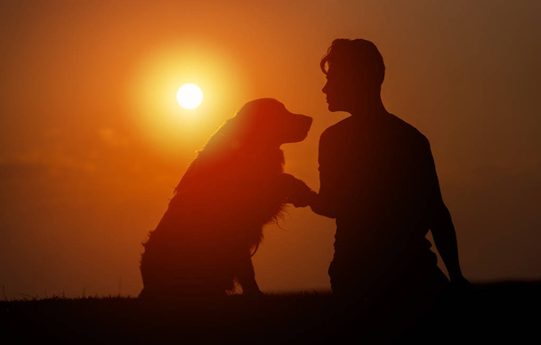 young man is sitting outside training his pet dog, and shaking hands on a summer evening, silhouetted by the sunset in the sky - 写真・画像