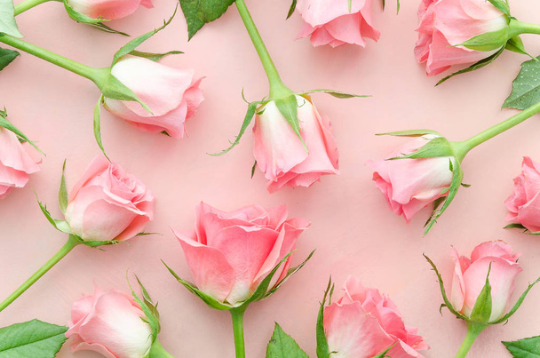Rózsaszín rózsa minta óvatosan. Rózsa rózsaszín háttér, felülnézeti rendezett. Lapos laikus trendi virág rózsa - Fotó, kép