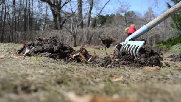 rake eszköz szintű molehill talaj tavaszi kert rét dolgozó nő - Felvétel, videó