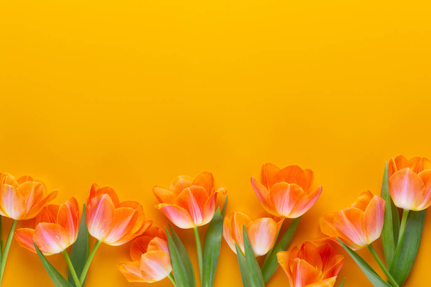 Yellow pastels color tulips on the yellow background. Retro vint - Photo, image