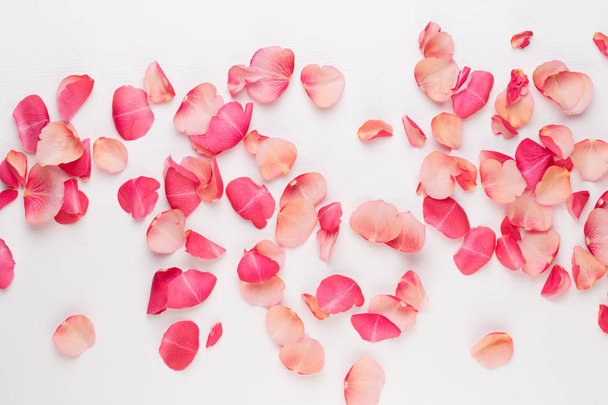 Valentine's Day. Rose flowers petals on white background. Valent - Фото, зображення