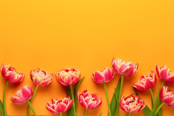 Spring flowers, tulips on pastel colors background. Retro vintag - Photo, Image