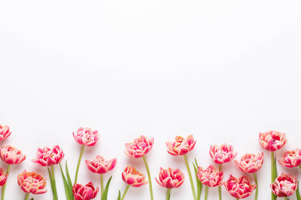 Spring flowers tulips on pastel colors background. Retro vintage - Фото, изображение
