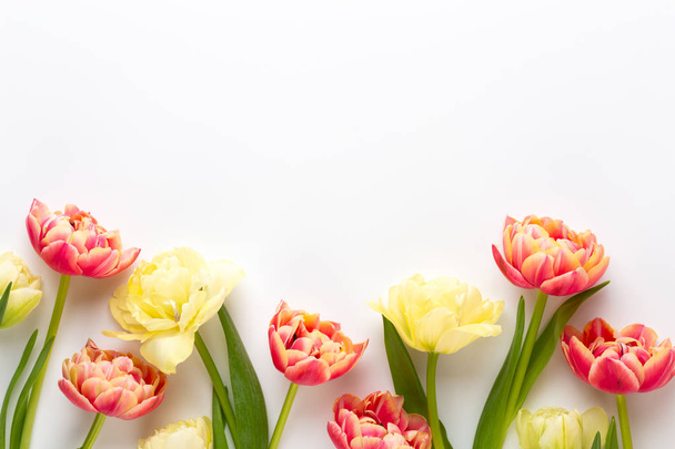 Spring flowers, tulips on pastel colors background. Retro vintag - Foto, imagen