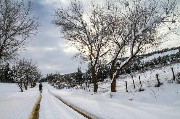 Снежный покров. Прогулка по заснеженной дороге
. - Фото, изображение