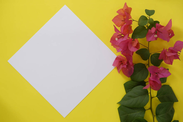 Μακέτα Λευκή Βίβλο με χώρο για κείμενο ή την εικόνα σε κίτρινο φόντο και λουλούδι - Φωτογραφία, εικόνα
