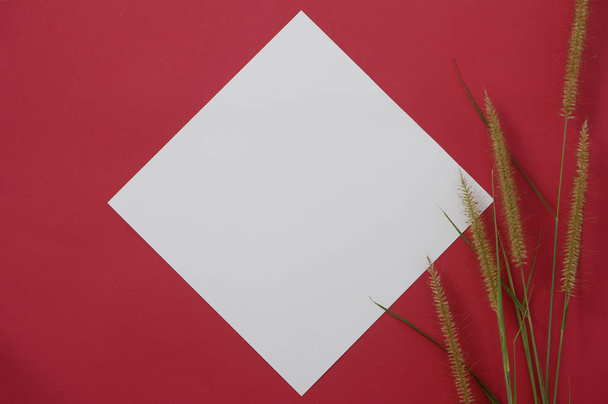 Weißes Papierattrappen mit Platz für Text oder Bild auf rotem Hintergrund und Blume - Foto, Bild