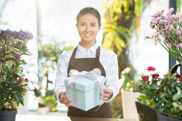 Nuori hymyilevä kukkakauppias työvaatteissa tilalla pakattu lahja valkoisessa laatikossa sidottu silkkinauhalla ja katsot asiakasta
 - Valokuva, kuva