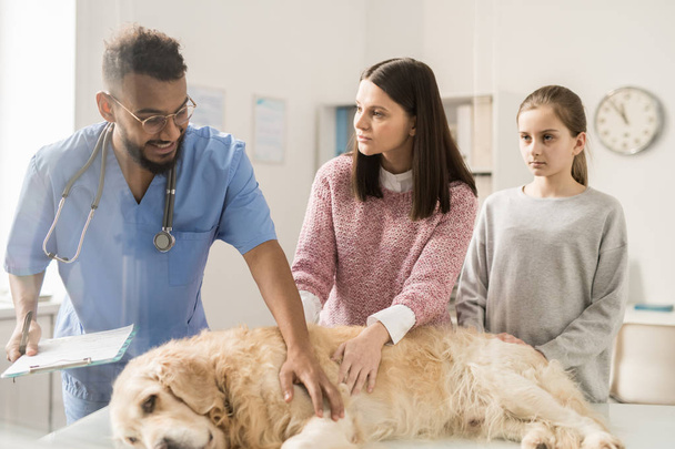 Jonge vrouw en veterinaire behandelaar verzorging van zieke labrador hond en raadpleging over therapie - Foto, afbeelding