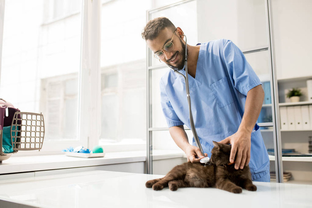 Молодий успішний клініцист ветеринарної лікарні оглядає кота зі стетоскопом у своїх клініках
 - Фото, зображення