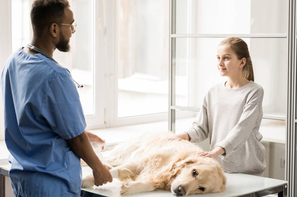 Joven veterinario clínico en uniforme poniendo vendaje en pata de perro enfermo y consultando a niña en el hospital
 - Foto, Imagen