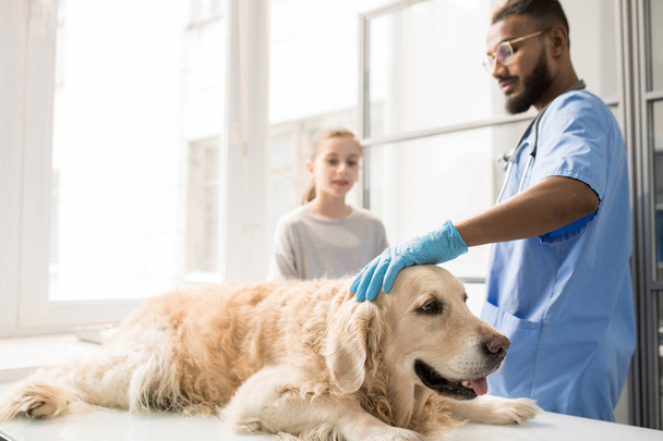 Современный профессиональный ветеринар в форме держит руку в перчатке на голове больной собаки
 - Фото, изображение
