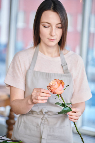 Jonge brunette vrouw in werkkleding holding roze steeg met borst terwijl maken in de winkel van de bloemist trossen - Foto, afbeelding