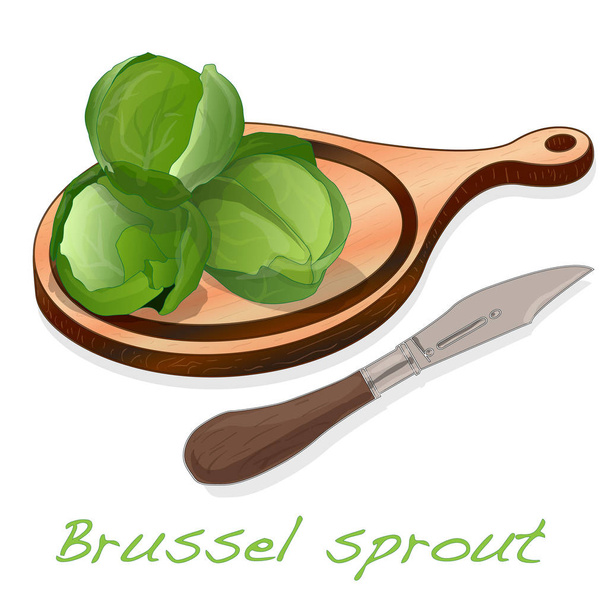 Una pila de coles de Bruselas en la ilustración del vector del plato. Whit.
 - Vector, Imagen