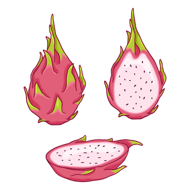 Set vettoriale di frutta del drago del fumetto Pitahaya
 - Vettoriali, immagini
