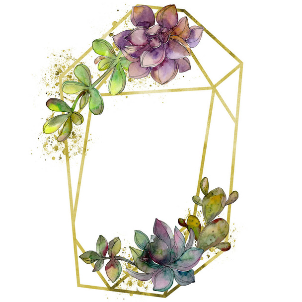 Jungle botanical succulent flower. Wild spring leaf isolated. Watercolor background illustration set. Watercolour drawing fashion aquarelle isolated. Frame border crystal ornament square. - Photo, Image