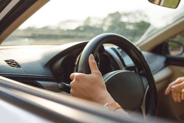 male hands on steering wheel on the right with country side view - Fotografie, Obrázek