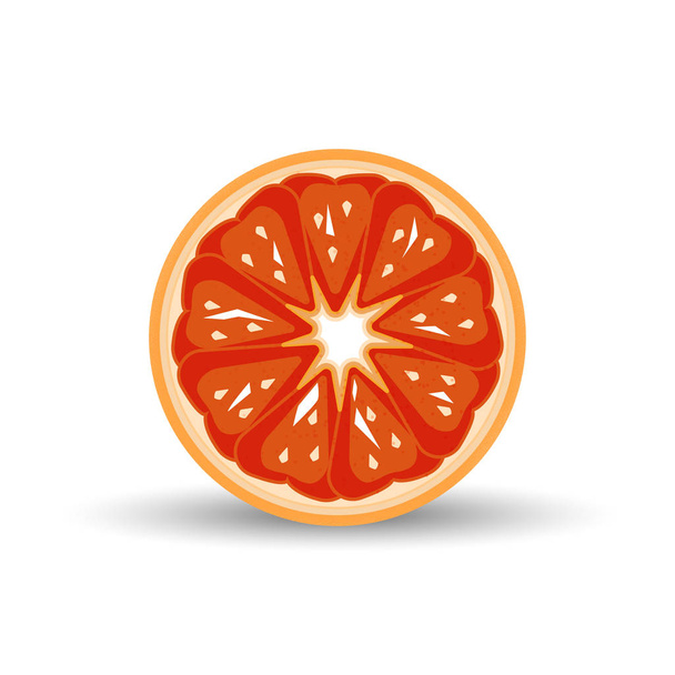 Citrus fruit isolated on white background. Vector illustration - Vektör, Görsel