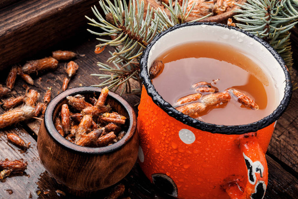 Tea with pine buds - Photo, Image
