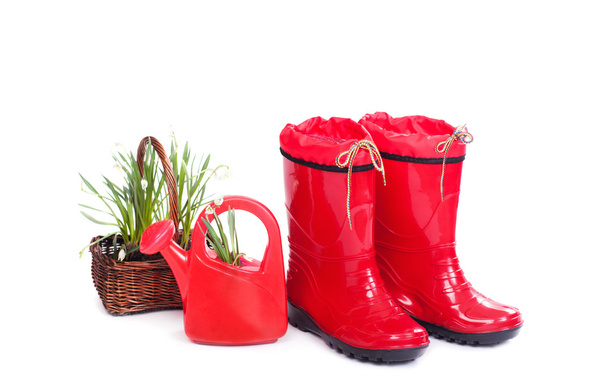 rubber boots and flowers isolated on white - Fotoğraf, Görsel