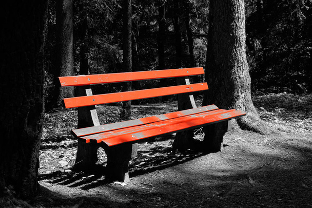 banco vermelho branco e preto na paisagem de madeira
 - Foto, Imagem