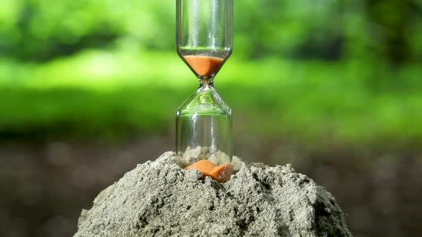 Sand flows  down in glass hourglass , Macro,  outdoor blurred background  - Footage, Video