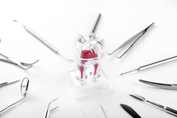 Instruments dentaires et modèle de dent sur fond blanc
 - Photo, image
