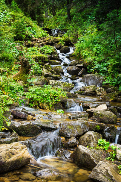 Creek Ukrainian Carpathian Mountains - Photo, Image
