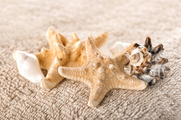 Starfish and sea shells on clean soft towel, closeup - Photo, Image