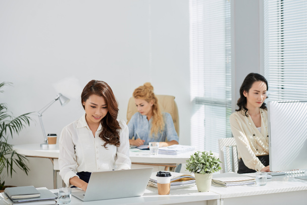 successful businesswomen working in office working at desks  - Photo, Image