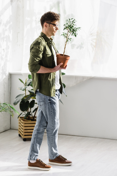 man in green shirt and jeans standing and holding pot with plant in office  - Photo, Image