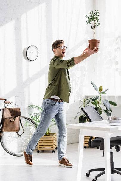tricky man in green shirt and jeans holding pot with plant in office  - Foto, imagen