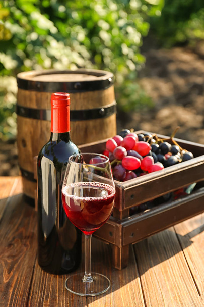 Bottle and glass of red wine with fresh grapes on wooden table in vineyard - Photo, Image