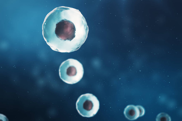 Célula de um organismo vivo, conceito científico. Ilustração sobre fundo azul. A estrutura da célula a nível molecular, sob um microscópio. ADN encriptado na célula. Ilustração 3D
 - Foto, Imagem