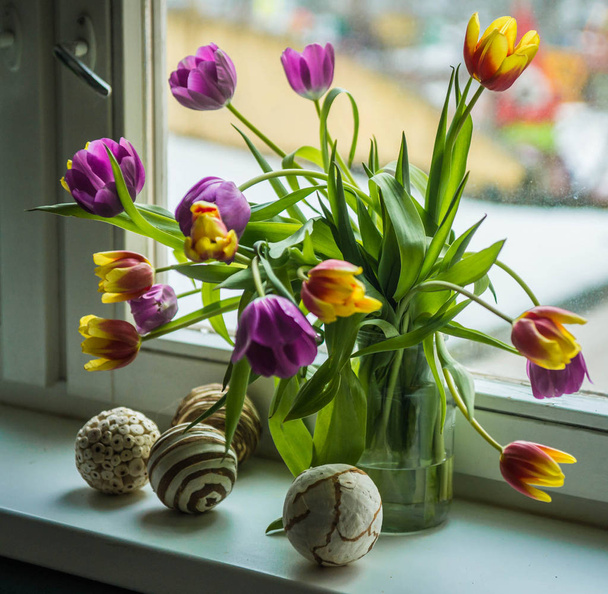 Spring bouquet of multicolored tulips in glass jar on windowsill - Fotografie, Obrázek