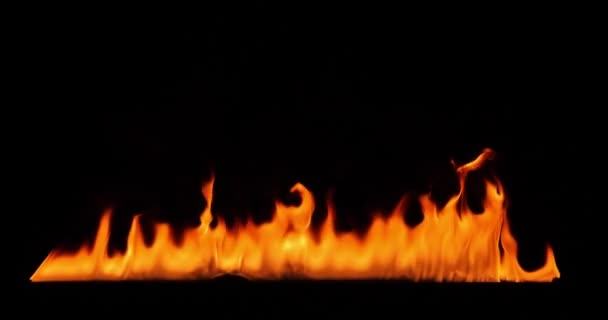 Close-up van brandende vuur, vlammen branden op zwarte achtergrond, slow-motion - Video