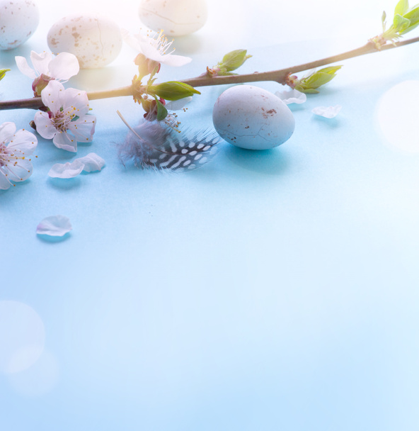 Húsvéti tojás, tavaszi virágok, kék háttérrel - Fotó, kép