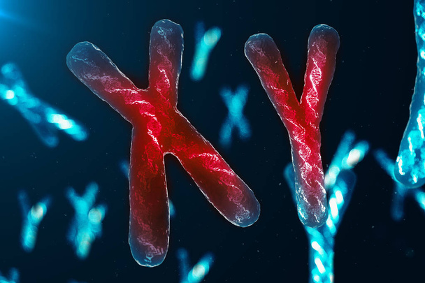 Infezione di cromosomi XY DNA, virus o infezione penetra nel corpo. Cromosomi maschili. Cromosomi con DNA recante il codice genetico. Cambiare il codice genetico a livello biologico. 3D
 - Foto, immagini