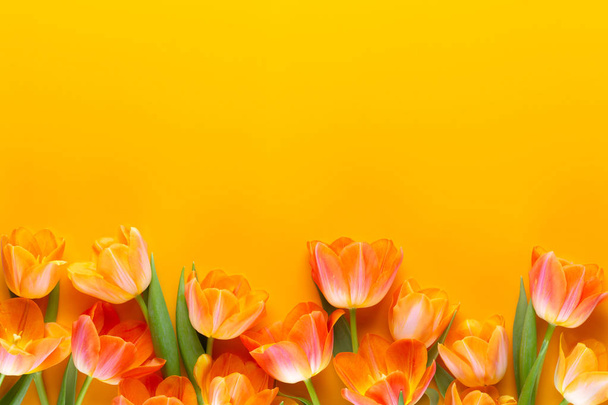Yellow pastels color tulips on the yellow background. Retro vint - Foto, afbeelding