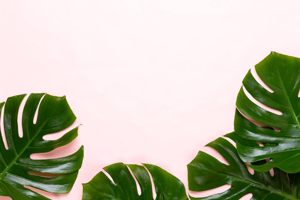 Tropical Jungle Leaf, Monstera, resting on flat surface, on peac - Foto, Imagen