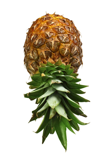 Pineapple background - Foto, immagini