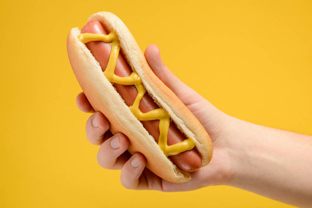 Traditional hot dog with mustard - Foto, Imagen