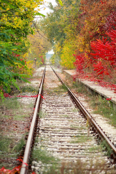 Železniční trať s krásné přírodní prostředí a fenomenální podzimní barevné listí na stromech v pozadí. Podzimní krajina, staré železnice v lese. Opuštěné železniční tratě zarostlé trávou. - Fotografie, Obrázek